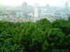 dstd.jpg (91061 ֽ)