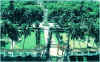 HKgy1.jpg (109285 ֽ)