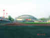 TYC1.JPG (46012 ֽ)